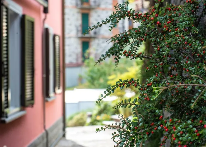 Casa Rosa