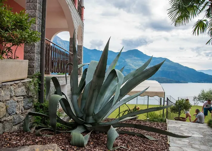 Casa Rosa